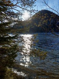 Scenic view of river in forest against sky