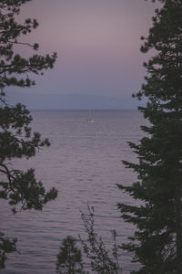 Scenic view of sea and trees against clear sky