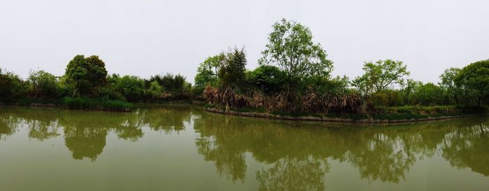 Reflection of trees in calm lake