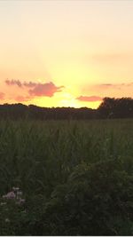 Scenic view of landscape at sunset