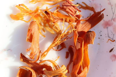 High angle view of orange berries on plate