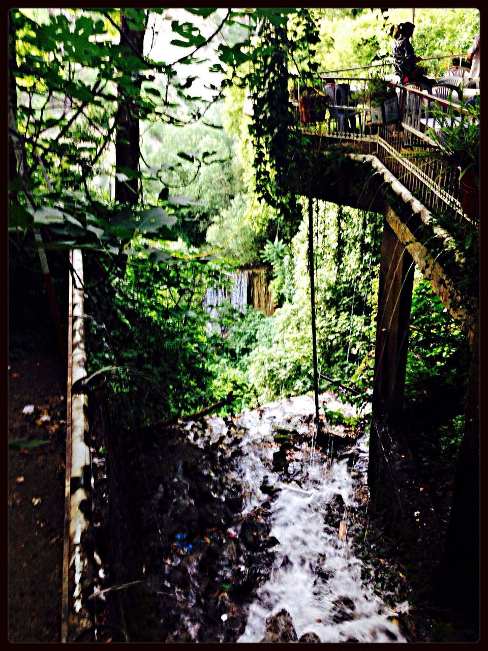 transfer print, tree, auto post production filter, built structure, growth, architecture, plant, tree trunk, park - man made space, sunlight, green color, nature, steps, building exterior, day, outdoors, railing, front or back yard, shadow, branch