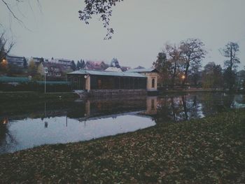 Reflection of trees in water