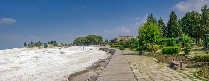 Footpath amidst trees at beach against sky