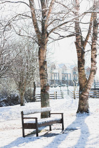 Bench in park during winter