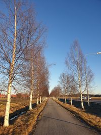 Road amidst bare trees on field against sky