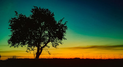 Silhouette tree on field against sky at sunset