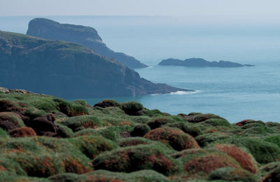 sea