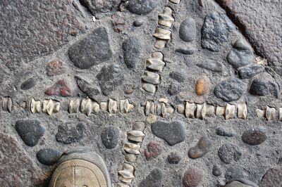 Close-up of stone