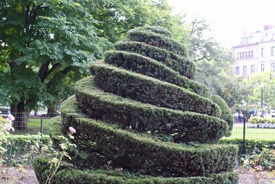 View of trees in garden