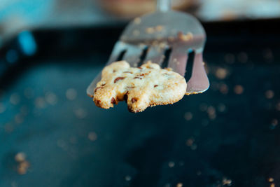 Homemade chocolate chips cookies baked food