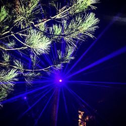 Low angle view of illuminated tree at night