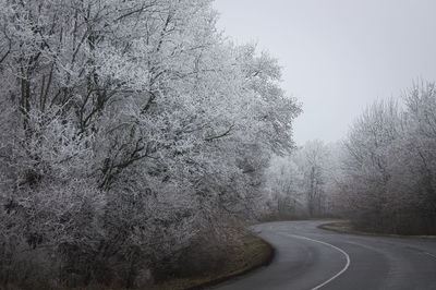 Road amidst bare trees against clear sky