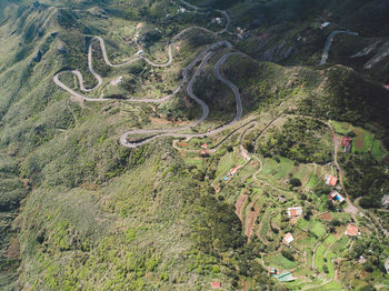 High angle view of road amidst plants