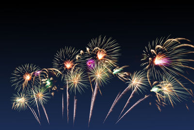 Low angle view of firework display against sky at night