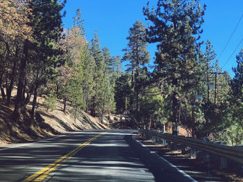 Empty road amidst trees against clear sky