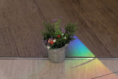 High angle view of potted plants on wooden table