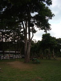 Empty bench in park