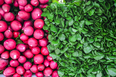 Vegetables for sale at market