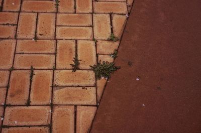 High angle view of footpath by wall