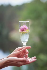 Champagne with wildflowers hands keeps a glass with champagne with surreal flowers. 