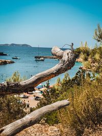 Scenic view of sea against clear blue sky