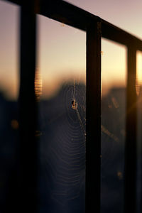 Close-up of spider web against sky during sunset