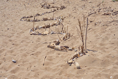 High angle view of birds on beach