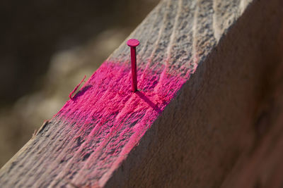 Close-up of pink umbrella against wall
