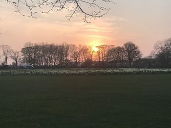 Scenic view of field against sky during sunset