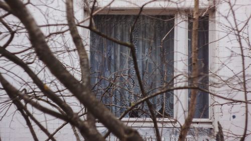 Low angle view of bare tree against sky