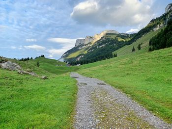 Scenic view of grassy field against sky