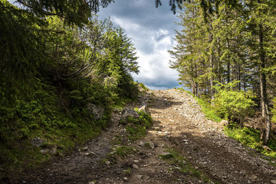 Road amidst trees against sky