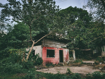 Abandoned building against trees in forest