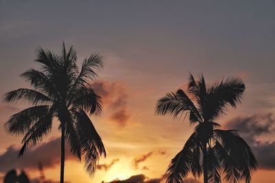 Low angle view of silhouette palm tree against sky