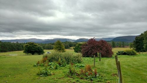 Scenic view of field against cloudy sky