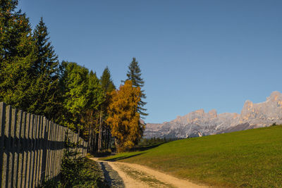 Road amidst trees and plants against sky