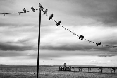 Low angle view of birds on sea against sky