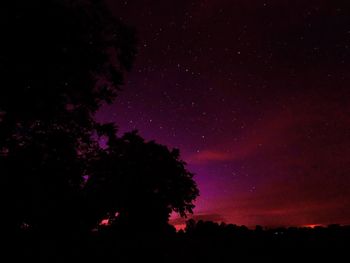 Low angle view of silhouette trees against sky at night