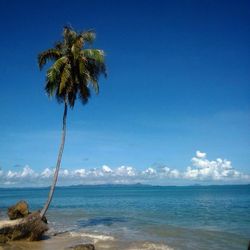 Scenic view of sea against blue sky