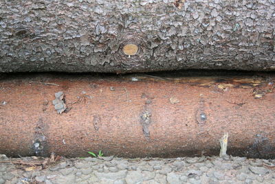 Full frame shot of brick wall