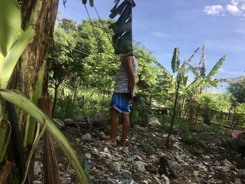 Rear view of man standing by trees in forest