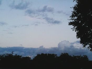 Low angle view of trees against cloudy sky