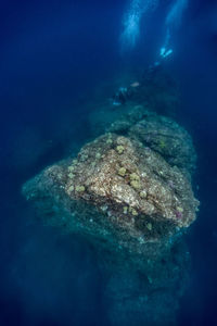 Man swimming in sea