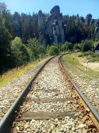 Railroad track amidst trees and plants