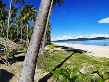 Scenic view of beach against blue sky