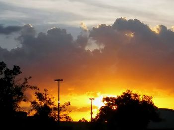 Low angle view of silhouette trees against sky at sunset