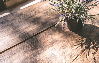 High angle view of potted plant on wooden table