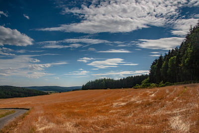 Scenic view of landscape against sky