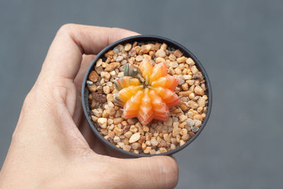 Close-up of hand holding bowl